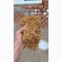 Продам ферментированный табак Вирджиния Голд