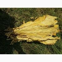 Продам ферментированный табак Вирджиния Голд