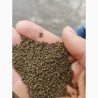 Продаємо наcіння Люцерни