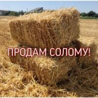 Продам ячневую солому