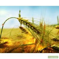 Хелатні добрива Квантум