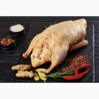 Продам мясо фермерской утки (тушки)