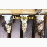 Продам Карнику