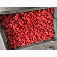Продам малину 80/20, малину на гриз