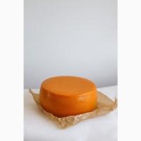 Продам крафтовий сир напітвердий Гауду з пажитником