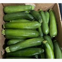 Цукіні зелений від фермера