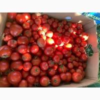 Продам помідору 2 сорт на сок