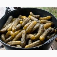 Продам квашені огірки