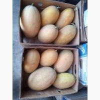 Продам диньку