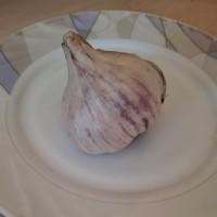 Продам часник, сорт Любаша