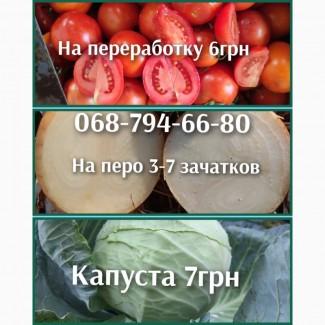 Продам лук на зеленое перо голд штутгард