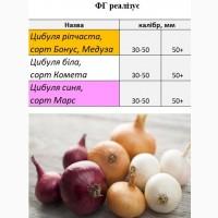 ФГ реалізує цибулю білу (Комета) та червону (Редеско)