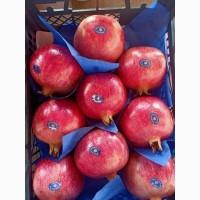 Свіжий гранат. Країна походження - Єгипет