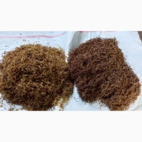 Преміальний Тютюн без пилу та сміття Парламент, Гавана, Дюбек, Руно, Вірджинія, Давідофф