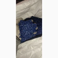 Продам соняшник під Евролайтінг Гібрид Стрім Екстра фракція