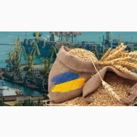 Купляємо агропродукції