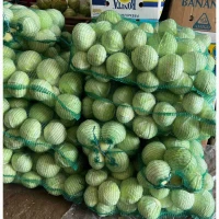 Продам білокачанну капусту