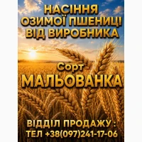 Мальованка. Насіння. Озима пшениця. 2026