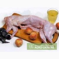 Продам мясо кролика киев органика домашнее
