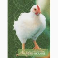Суточный и подрощенный бройлер утки кури несучки