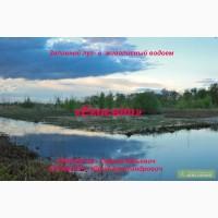 Заливной луг- в живописный водоем