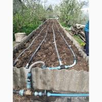 Технологические черви (семья) для биогумуса и для рыбалки