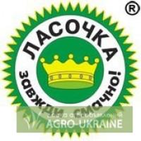 Производство. Продажа опт . Кисель, суп, приправы