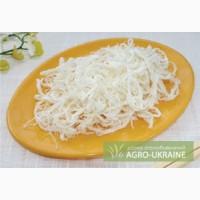 Продажа стружки кальмара оптом