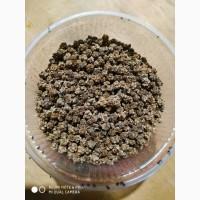 Продам насіння Кормового буряка(польський фермерський)