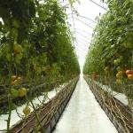 Капельный полив и оборудование для полива.