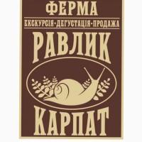 Продам равлик в мушлі MAKSIMA, а також філе равлика