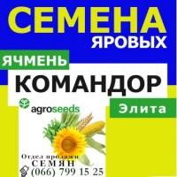Продам ярый ячмень КОМАНДОР от производителя. Агротрейд/Agroseeds