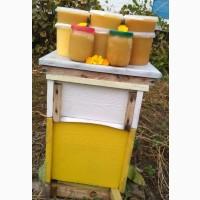 Продам мед оптом 5+ т