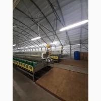 Кролеферм продажа Ифарм С. А. С (Франция)
