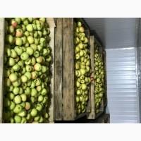 Продам якісне яблоко, з холодильника, оброблені смарт фрешом