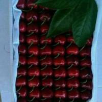 Черешня бычий глаз