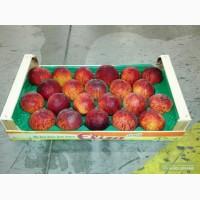 Продам персик,нектарин