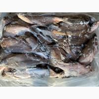 Продам мороженую рыбу. Лещ, подлещ, тарань, густера, синец