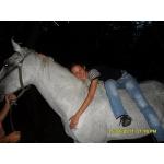 Продам кобылу