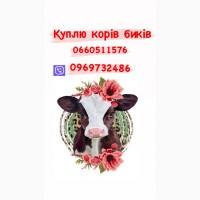 Купимо корів коней бичків
