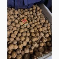 Продам грецкий орех