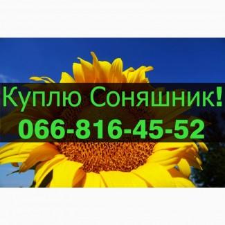 На постійній основі закуповую СОНЯШНИК за привабливими цінами
