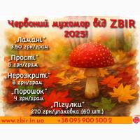 Мухомор ЧЕРВОНИЙ (Amanita Muscaria), сушені капелюшки від ZBIR. Сезон 2025
