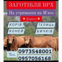 Закуповуємо врх за приємними цінами