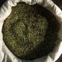 Домашня махорка: вирощена без хімії Дніпро