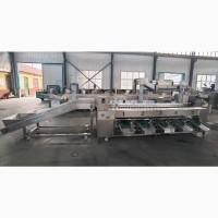 Калібратор для сортування/калібрування овочів, фруктів STvega Sorting H3000
