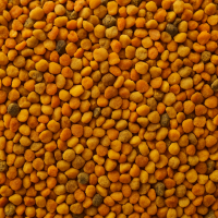 Продаю бджолиний пилок 2025 року збору