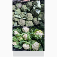 Брокколі та цвітна капуста