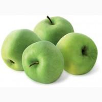 Куплю яблука сорту Семеренко, калібр 65+, обсяг - 100 тонн