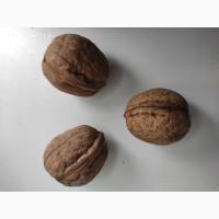 Куплю цілий горіх